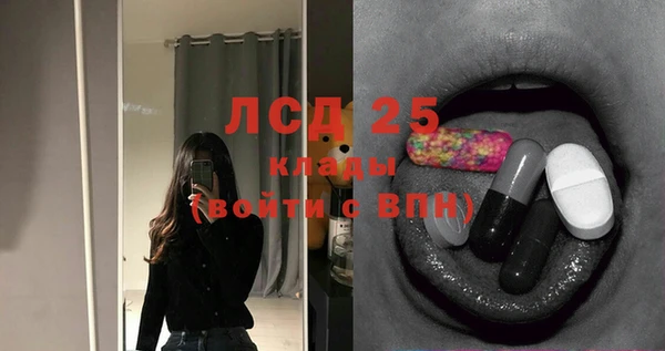 ГАЛЛЮЦИНОГЕННЫЕ ГРИБЫ Арсеньев