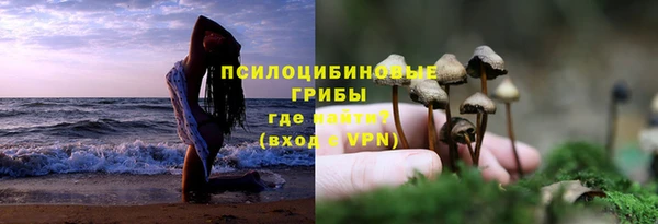 ГАЛЛЮЦИНОГЕННЫЕ ГРИБЫ Арсеньев