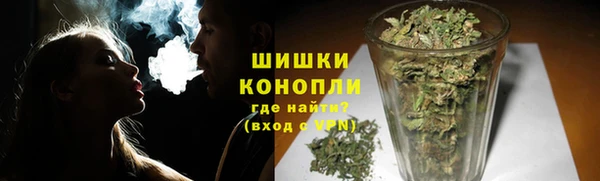 ГАЛЛЮЦИНОГЕННЫЕ ГРИБЫ Арсеньев