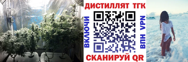 маркетплейс Telegram  Полесск  ТГК жижа 
